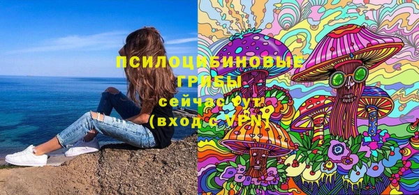 MDMA Каменка
