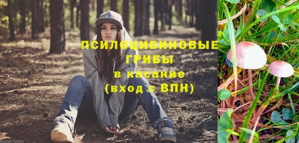 скорость Каменногорск